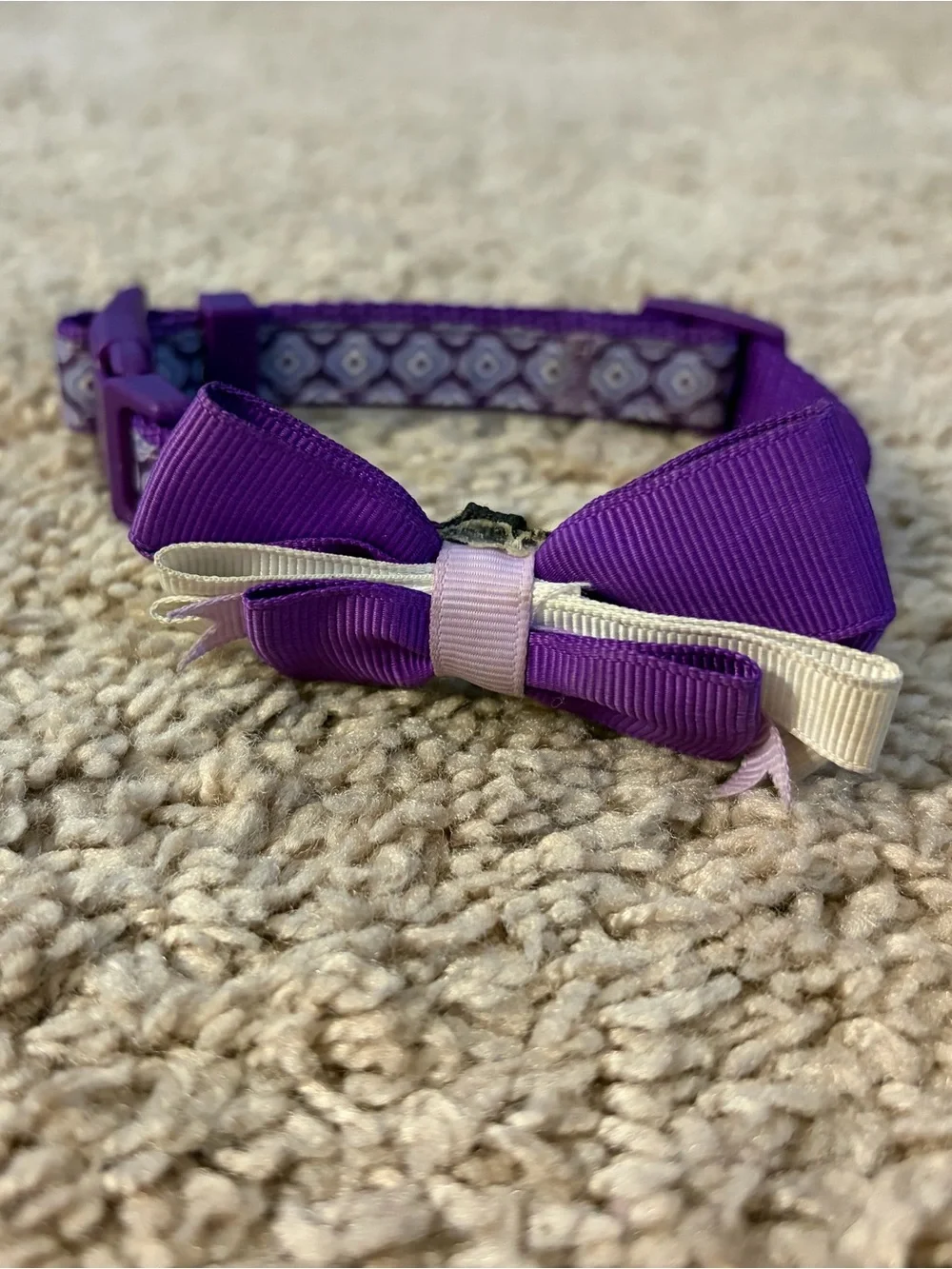 Top Paw Purple and Cream Bow Dog Collar